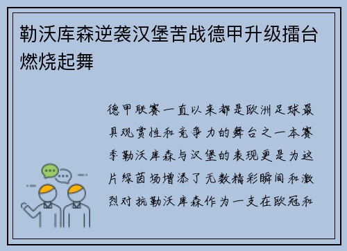 勒沃库森逆袭汉堡苦战德甲升级擂台燃烧起舞